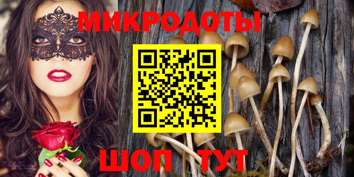 Югорск  Псилоцибиновые грибы Psilocybe  Вход с VPN 